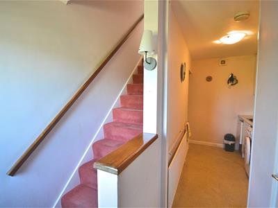 Picture 13
